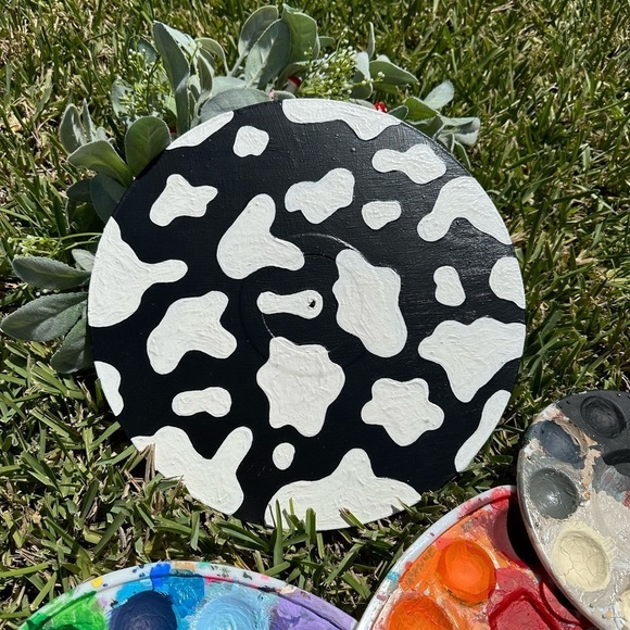Painted Vinyl - Picture 1 of 3